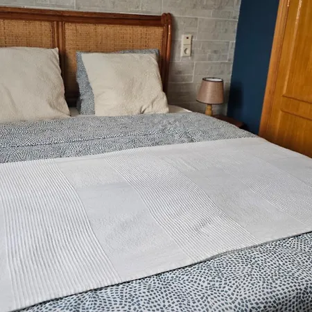 Carabassi * Alicante